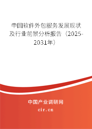 软件外包服务发展现状及行业前景分析报告(2025-2031年)